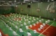 колонтаево2011 068.jpg