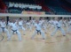 DSC08149.jpg